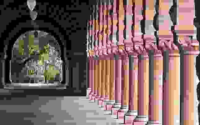 Vestibulum pellentesque metus