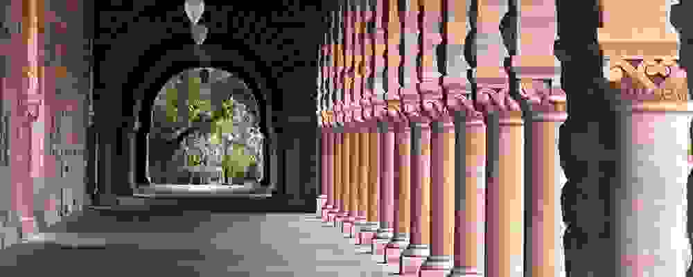 Vestibulum pellentesque metus